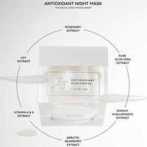 Antioxidant Night Mask